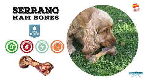 Huesos de jamón serrano para perros Serrano Ham Bones for dogs YouTube