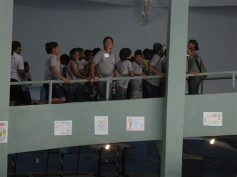 Emef Renato Costa Lima - 8