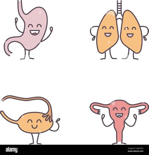 Smiling Human Internal Organs Characters Color Icons Set Happy Stomach