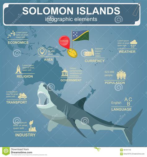 Infographics De Solomon Island Datos Estadísticos Vistas Ilustración