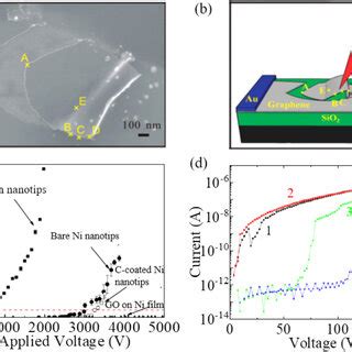 (a) Scanning electron microscope image and (b) three-dimensional ... 