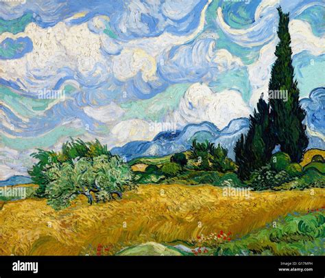 Vincent Van Gogh Campo De Trigo Con Cipreses El Museo Metropolitano