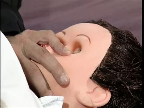 Free Getting Pounded Porn Videos XHamster