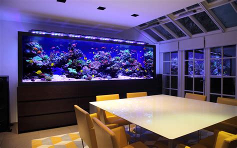 26 Model Aquarium Ikan Hias Minimalis Terbaru 2021 | Dekor Rumah