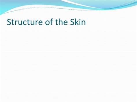 Ppt Structure Of The Skin Powerpoint Presentation Free Download Id