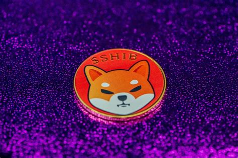 Shiba Inu Price Prediction Shib Burn Rate Goes Center Stage As Traders