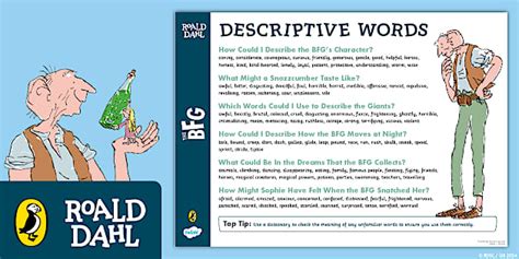 Free The Bfg Descriptive Word Mat Teacher Made