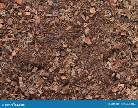 Mulch Brown Background Stock Image Image Of Covering 51952171