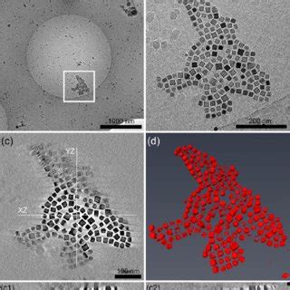 Cryo-TEM and CET. (a) Low magnification projection cryo-TEM image of a ...