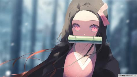 100 Demon Slayer Nezuko Cute Wallpapers