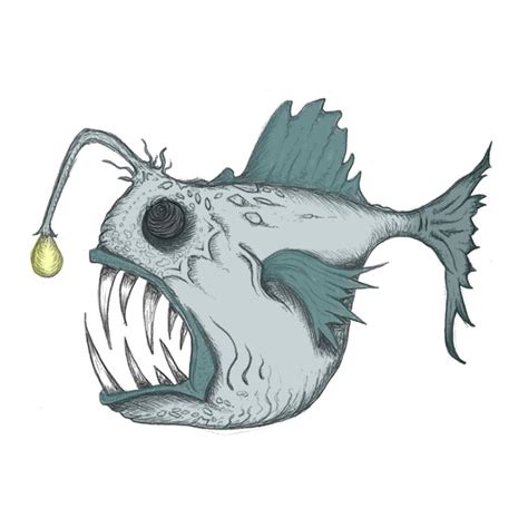 Anglerfish drawing | Sea Life Art