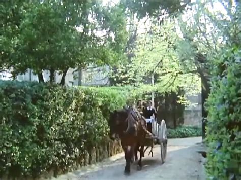 Humorous French Classic Funny Funny Porn Xhamster