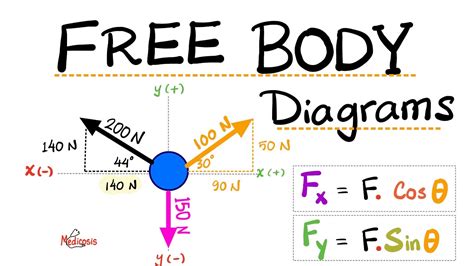 Mechanical Equilibrium Free Body Diagrams Forces Translational