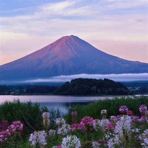 Fuji Five Lakes: A Beautiful Blend of Nature and Serenity in Yamanashi ...