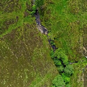 Naked Alone And Racing To Get Home Page Lpsg