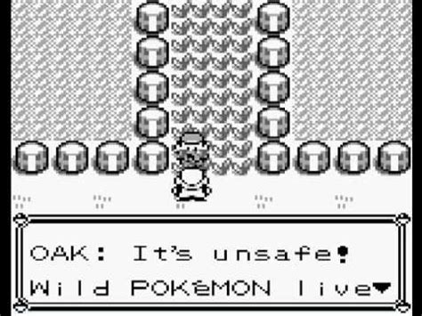 Pokemon Hardcore YouTube