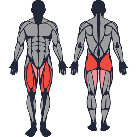 How To Do Side Lunges Bodyweight Muscles Worked And Proper Form
