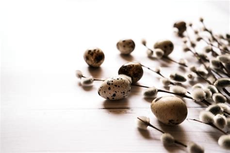 Premium Photo Quail Eggs And Pussy Willow Branches On White Wooden Background Easter