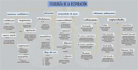 Mapa Conceptual Sistema Respiratorio Udocz Hot Sex Picture