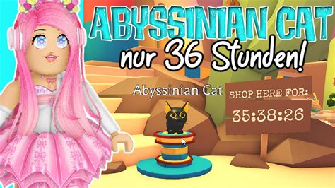 Nur Stunden Abyssinian Cat In Adopt Me Roblox Update Deutsch