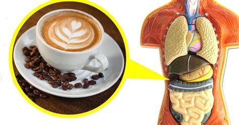 This is what drinking coffee every day does to your body