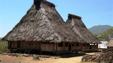 Musalaki adalah rumah adat dari daerah | Play