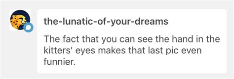 The Doodliest Of Buttz Gay Old Bugs Being Gay And Happy This Game Is So