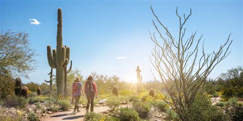 Cabo San Lucas Excursions | I Hiking | Sport Fishing