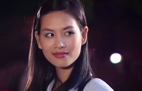 Thảo Mai Là Gì Nguồn Gốc Của Từ Thảo Mai Cách Nhận Biết Người Thảo
