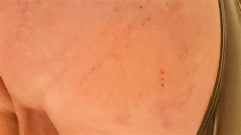 Outdoor Come Fuck Me Xhamster