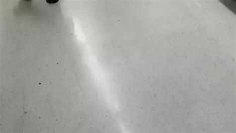 Free Thick Latina Porn Videos Xhamster