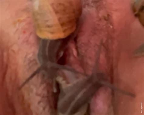 Snails Creeping In Pussy ThisVid