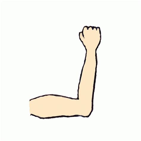 arm clipart   cliparts  images  clipground