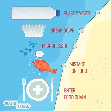 Microplastics How They Are Affecting Your Health