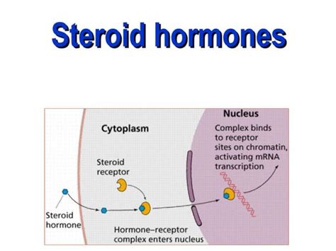 Steroid Hormones