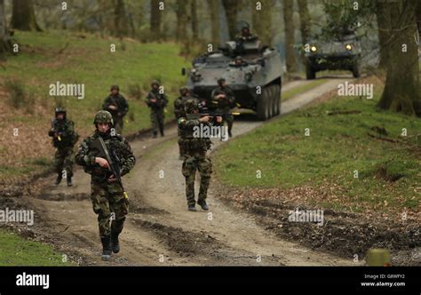 infantry group exercise stock photo alamy