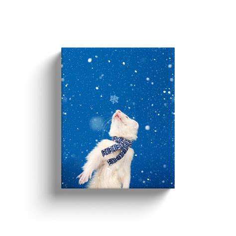 Funny Ferret Wall Art Print Animals In Snow Photography Winter Weasel