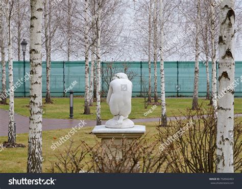 Greek Nude Female Statue Photographed Among Stock Photo 732042493 Shutterstock