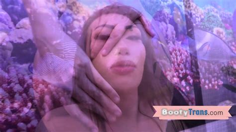 Bootylicious Latina Tgirl Barebacked After Blowing Bbc