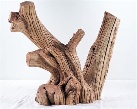 Large Manzanita Stumproot 18 Great Driftwood For Aquascaping Your