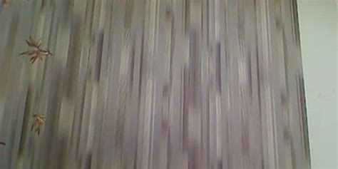 Delicious Busty Slut Fucking Herself With A Dildo Tnaflix