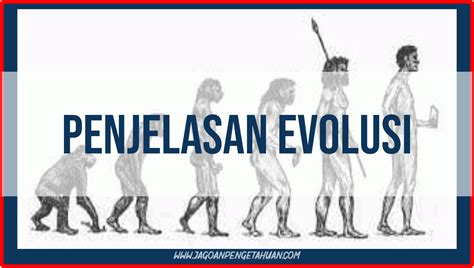 pengertian evolusi  penjelasan teori mekanisme  contoh