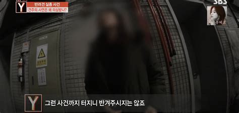 오늘 궁금한 이야기y에 나온 검침원 강아지 유괴사건 어이없는 흐름과 결말 인스티즈instiz 인티포털 카테고리