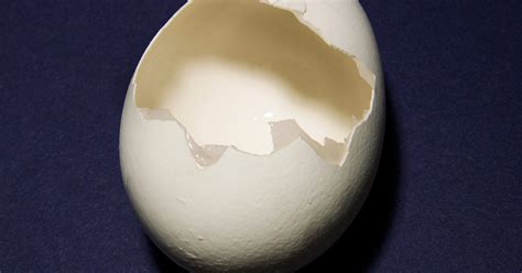 Decision To Freeze Eggs - Not Sure About Kids