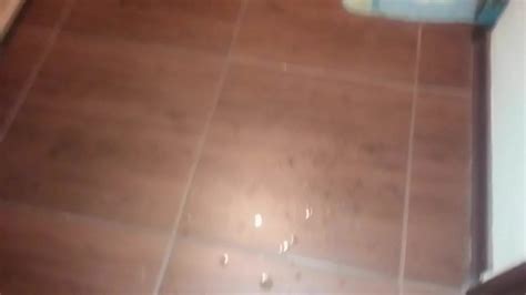 Powerful Cumshot Gay Masturbation Masturbation Porn Xhamster