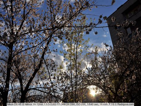 Nikon 18-135 f 3.5-5.6 review. Sample photos on the lens | Happy