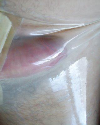 Transparent Latex Catsuit Porn Pictures XXX Photos Sex Images 4044006 PICTOA