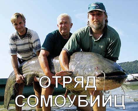 Приколы для даунов :: приколы для даунов :: Мемы (Мемосы, мемасы ...