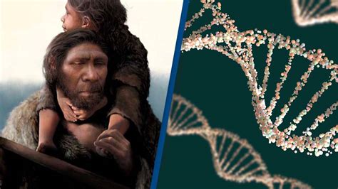 neanderthal family portrait revealed  dna discovery