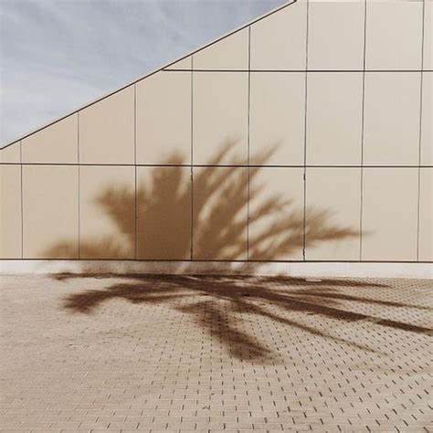 Tan Cafe And Nude Image On Favim